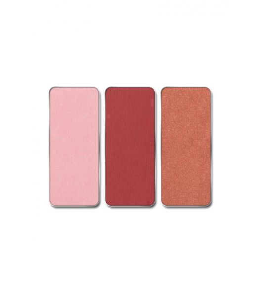 Palette Match System Rouge Insets